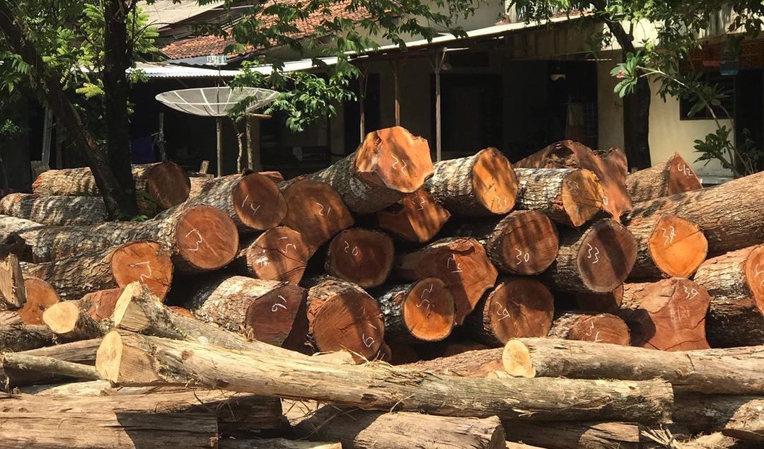 Keunggulan Furniture Kayu Jati untuk Ruang Tamu Elegan