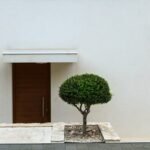 Pintu Mewah vs Pintu Minimalis: Temukan Elegansi yang Tepat untuk Rumah Anda