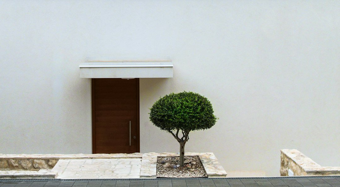 pintu mewah vs pintu minimalis mana yang lebih elegan